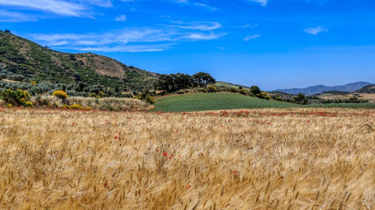 فيلا Almendros Antequera - Los Nogales By Ruralidays المظهر الخارجي الصورة